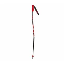 Bâton De Ski De Randonnée Géant Vola 19-20 110 Cm [Size 110&nbsp;cm]