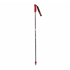 Bâton De Ski De Randonnée Géant Vola 19-20 [Size 110&nbsp;cm]